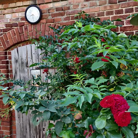 Schuberts Oderbruch Landpension Bed & Breakfast *