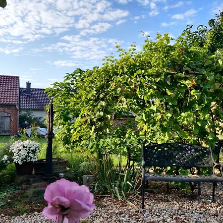 住宿加早餐酒店 Schuberts Oderbruch Landpension 3*