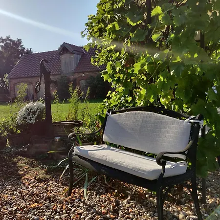 Schuberts Oderbruch Landpension فندق مبيت وإفطار 3*