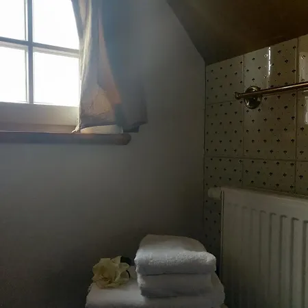 فندق مبيت وإفطار Schuberts Oderbruch Landpension 3*