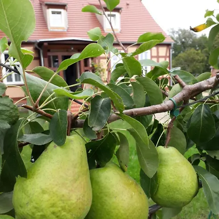 Schuberts Oderbruch Landpension *