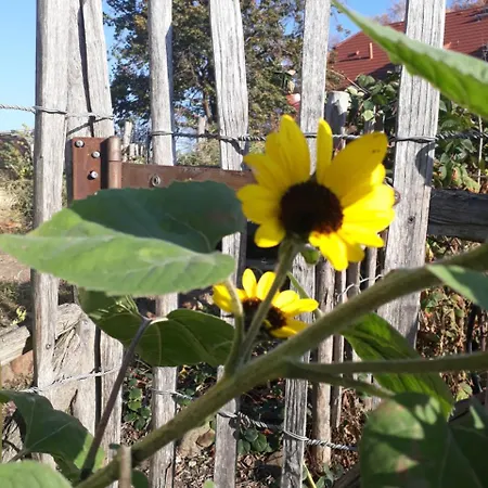 Bed & Breakfast Schuberts Oderbruch Landpension 3*