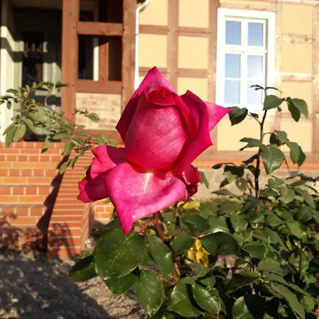 Schuberts Oderbruch Landpension *