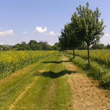 Bed & Breakfast Schuberts Oderbruch Landpension