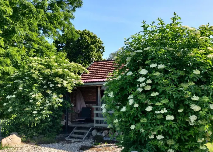 Schuberts Oderbruch Landpension 3*