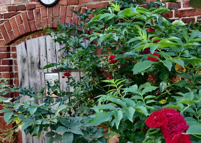 Schuberts Oderbruch Landpension Bed & Breakfast 3*