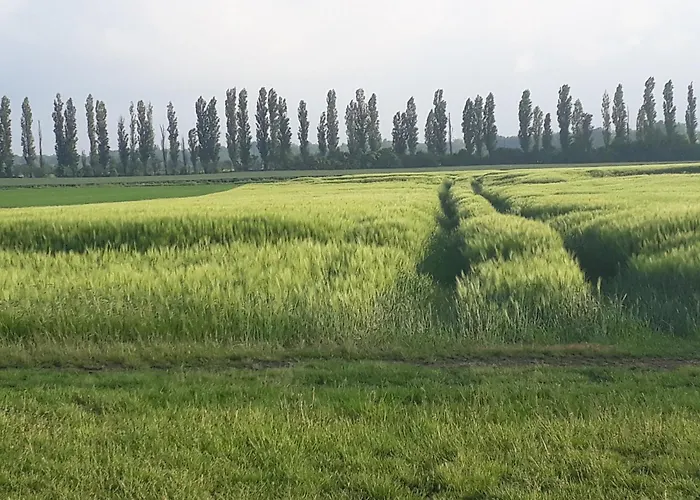 Bed & Breakfast Schuberts Oderbruch Landpension 3*