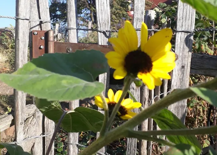 Bed & Breakfast Schuberts Oderbruch Landpension 3*