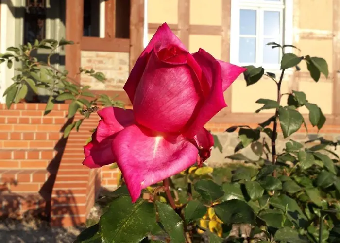 Schuberts Oderbruch Landpension 3*