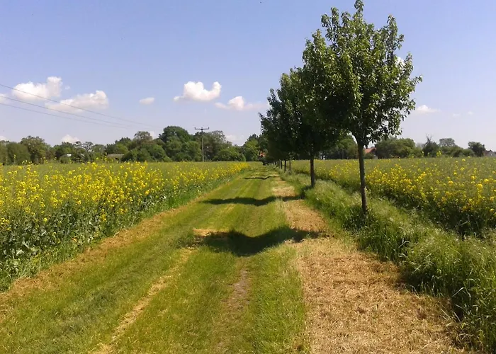 Bed & Breakfast Schuberts Oderbruch Landpension