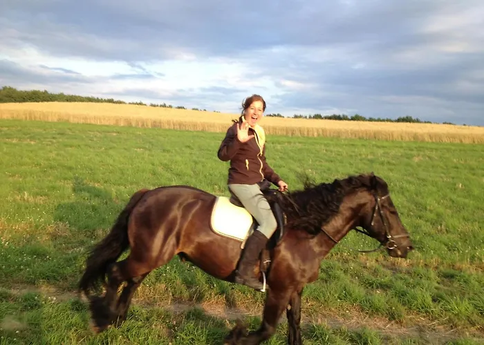 Bed & Breakfast Schuberts Oderbruch Landpension 3*